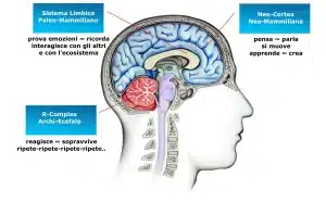 Neuromarketing e decisioni d'acquisto