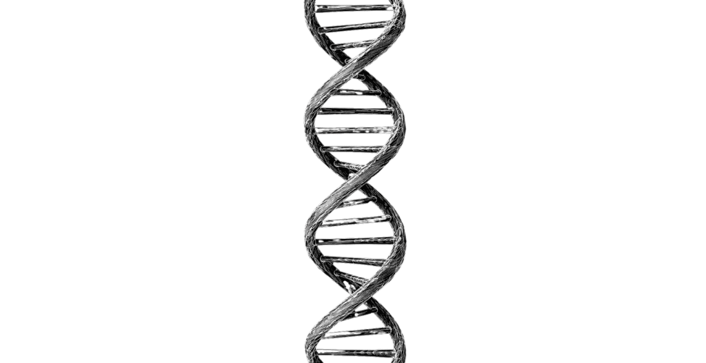 Istinti primordiali del consumatore