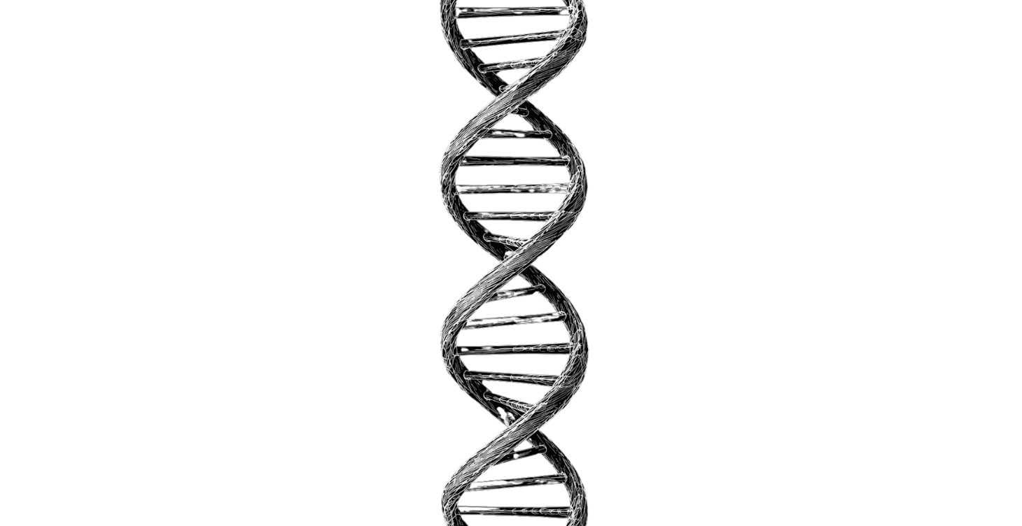 Istinti primordiali del consumatore