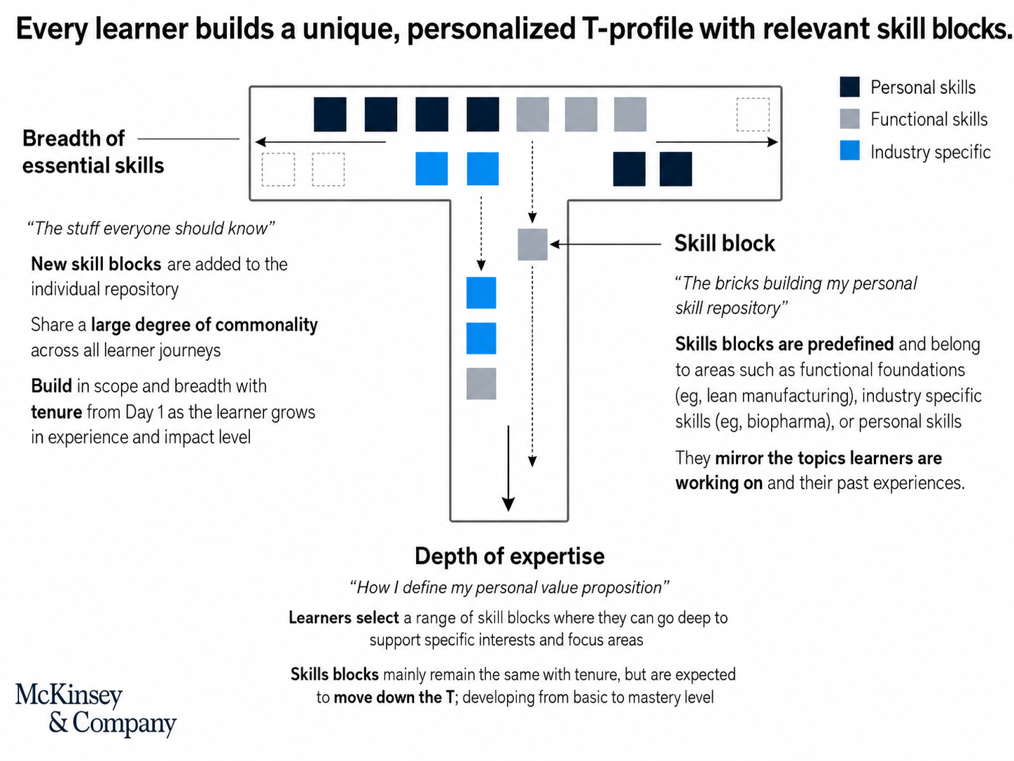 T shaped skills